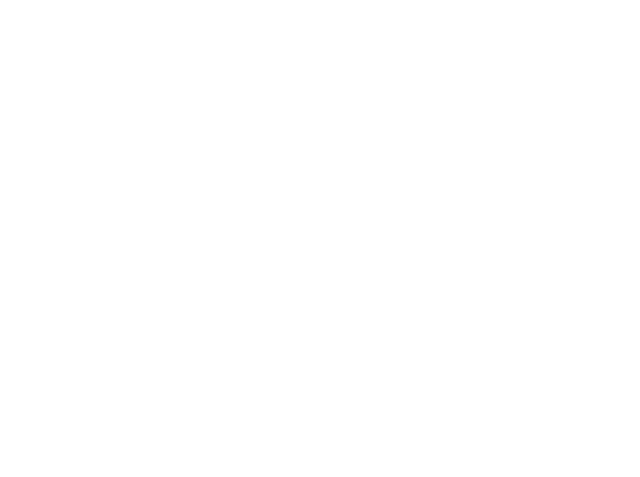 Capital Burger